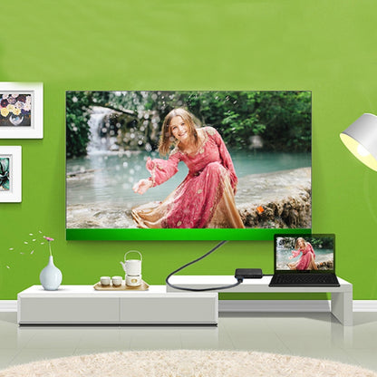 V83 USB-C / Type-C to 4K HDMI / VGA + 3.5mm Audio + USB Multi-function Adapter