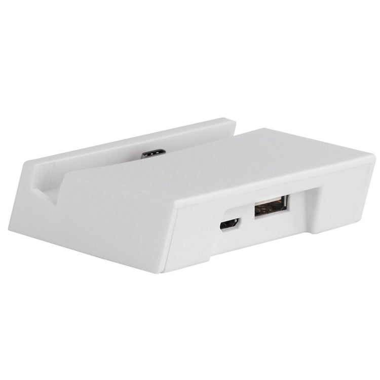 2 in 1 USB-C / Type-C 3.1 Sync Data / Charging Dock Charger