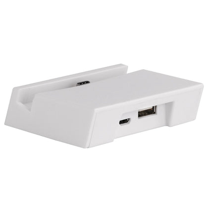 2 in 1 USB-C / Type-C 3.1 Sync Data / Charging Dock Charger