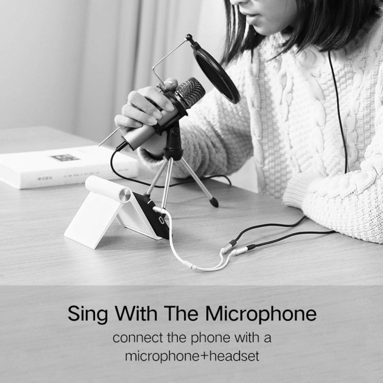 HY191 2 in 1 3.5mm Male to Microphone + Audio Female Braided Audio Cable, Length: 26cm, HY191