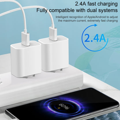 M117 2.4A Single USB Port Flash Charger Travel Charger, EU Plug, Single USB