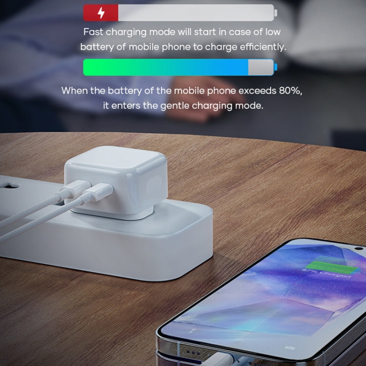 ROCK T58 35W Dual USB-C / Type-C Ports PD Charger, CN Plug