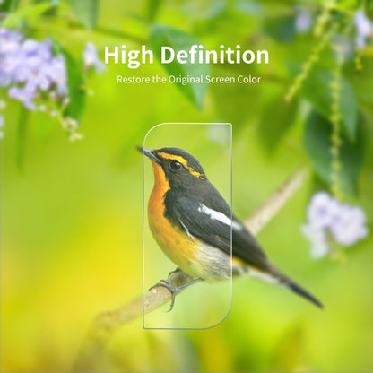 For Samsung Galaxy S22 / S22+ ENKAY Tempered Glass Lens Film, 1pc, 2pcs, 5pcs, 10pcs