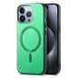 Solid Color Retro Magsafe PU Back Cover Phone Case, For iPhone 16 Pro, For iPhone 16 Plus, For iPhone 16