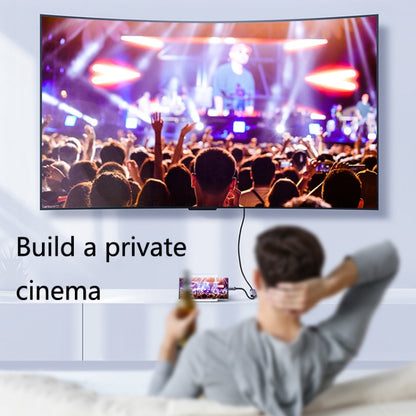 HW-TC01A USB 3.1 Type-C To HDMI Adapter Cable For Computer Phone Projectior, Silver, Black