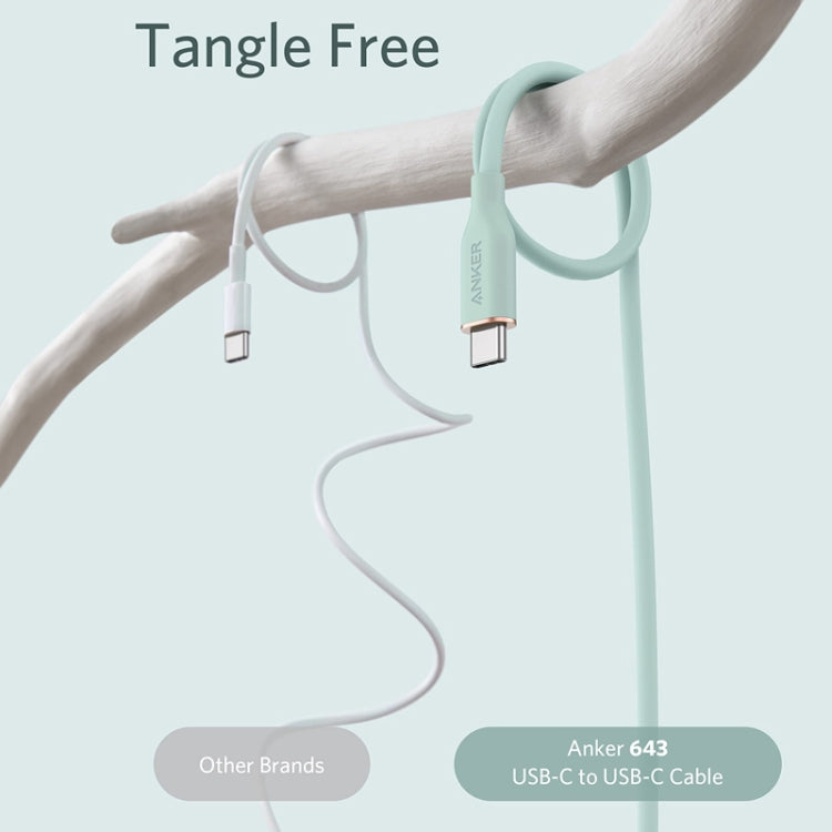 ANKER A8553 Powerline III 1.8m Skin Friendly Dual Type-C Data Cable PD100W Fast Charging Cable